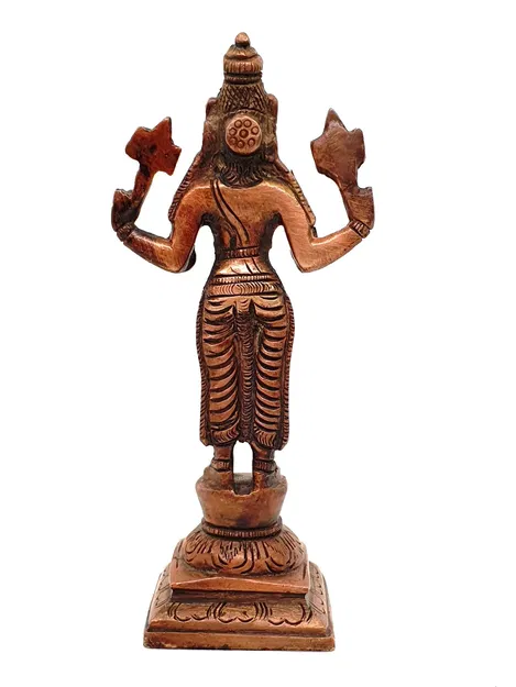 Chúa tể Vishnu thứ ba - Varaha (Heo Rừng) - Image 8