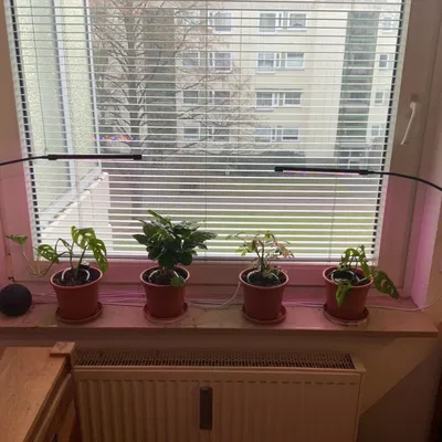 Thanh ray cho đèn LED trồng cây