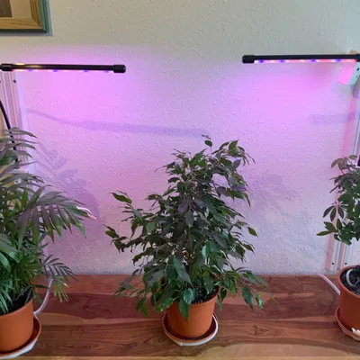 Thanh ray cho đèn LED trồng cây