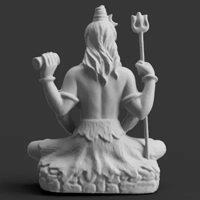 Shiva Thiền Định Trên Da Hổ