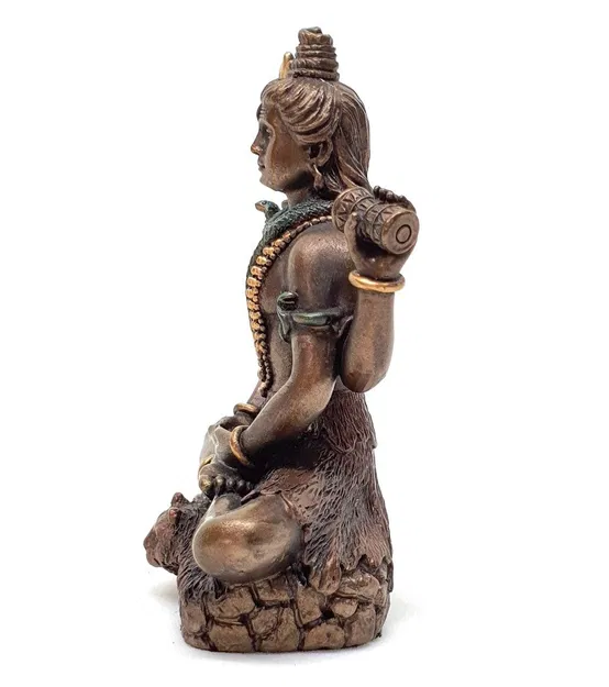 Shiva Thiền Định Trên Da Hổ - Image 6