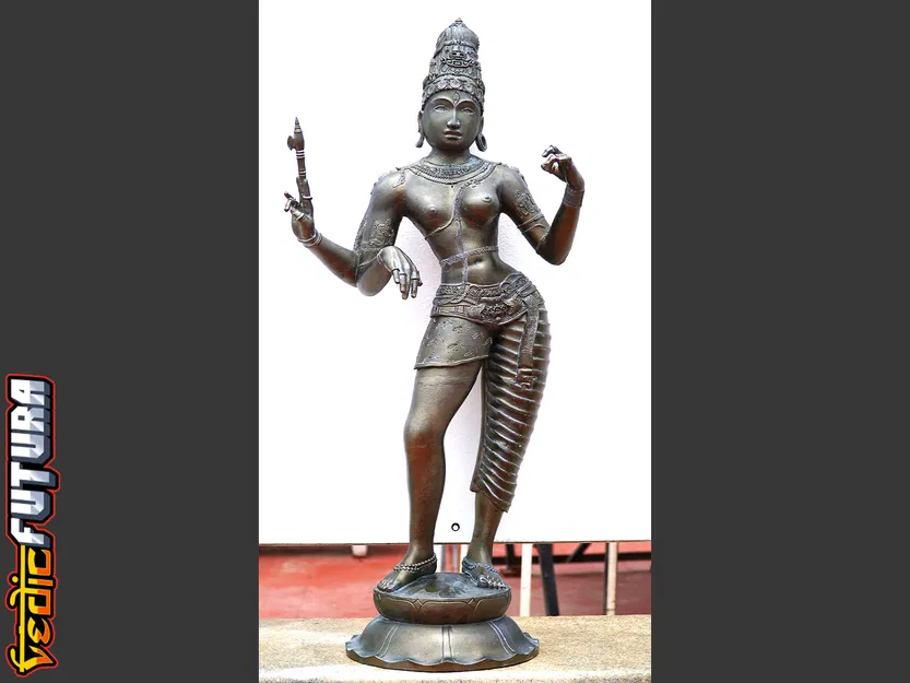 Ardhanarishvara - "Chúa Tể Nửa Nam Nửa Nữ" - Image 12