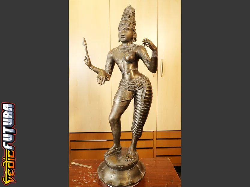 Ardhanarishvara - "Chúa Tể Nửa Nam Nửa Nữ" - Image 20