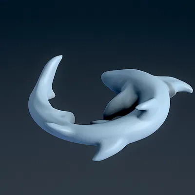 Cá Mập 2 - Mô Hình In 3D
