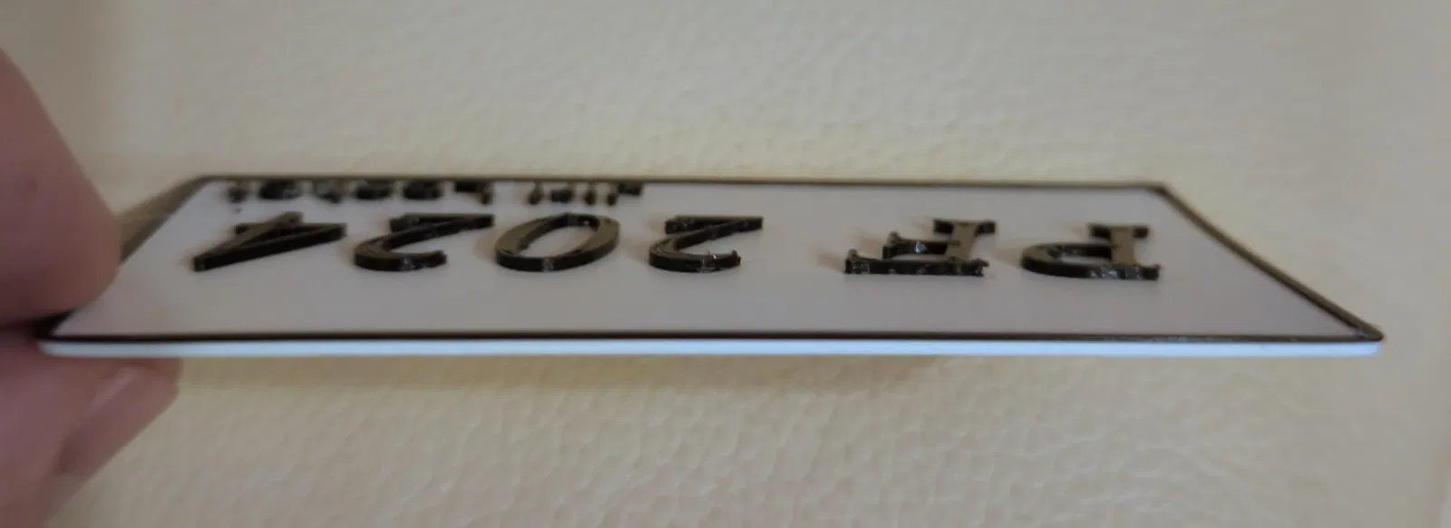 Mô hình 3D PF 2024 - Image 1