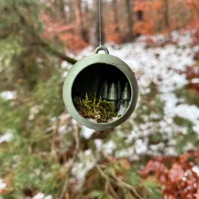 Trái châu Noel, quả châu / Christbaumkugel