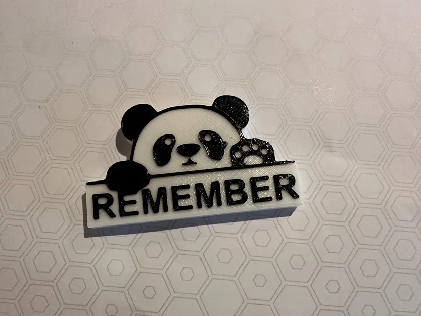 Gấu trúc Panda Nhớ Đời - Image 2