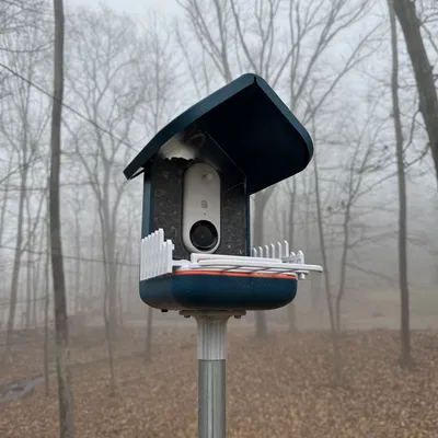 Đế Gắn Cho Ống Đường Kính Trong 1 Inch Của Bird Buddy