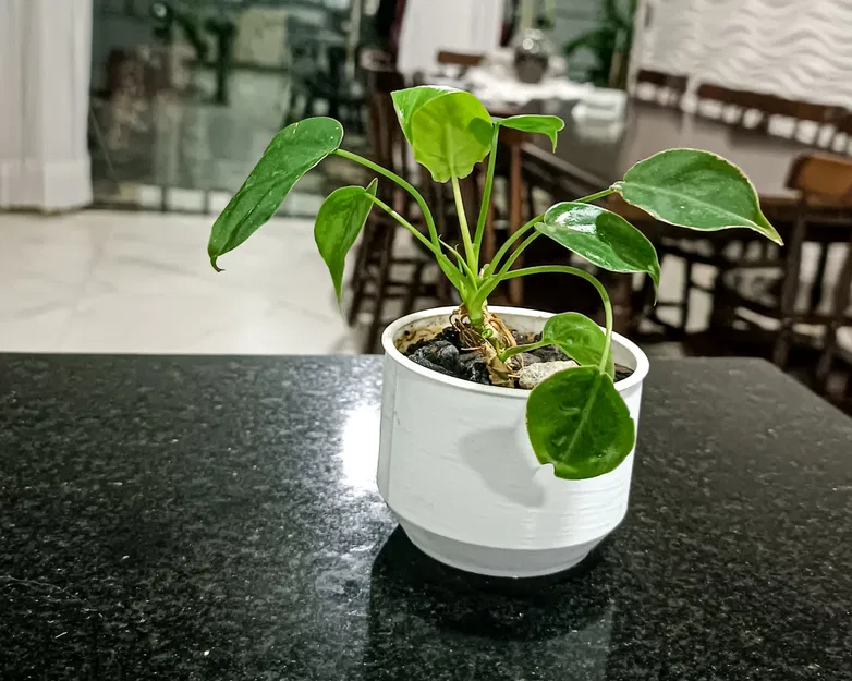 Chậu Cây Đơn Giản Của Dulf - Image 1