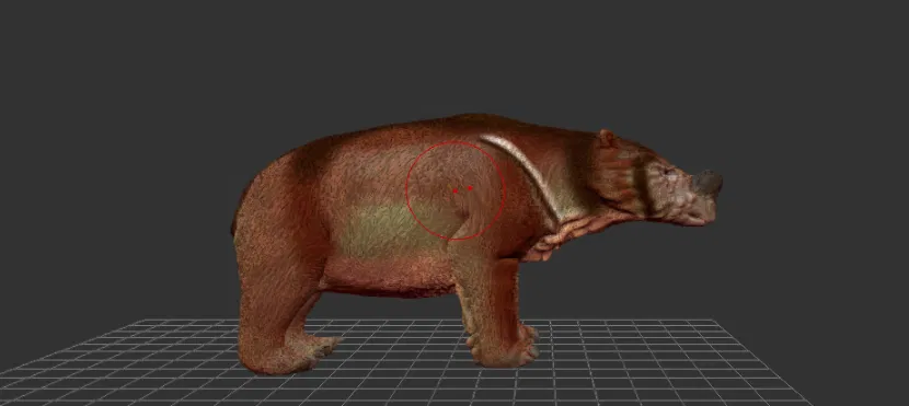 Lịch Vạn Niên số 22: Ambulator - Image 1