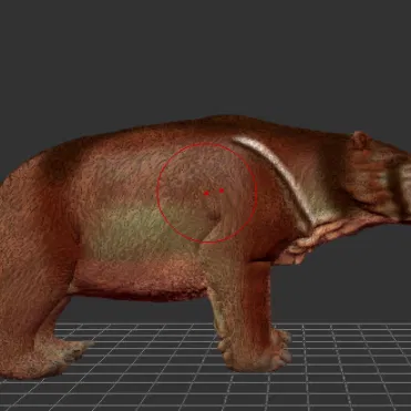 Lịch Vạn Niên số 22: Ambulator