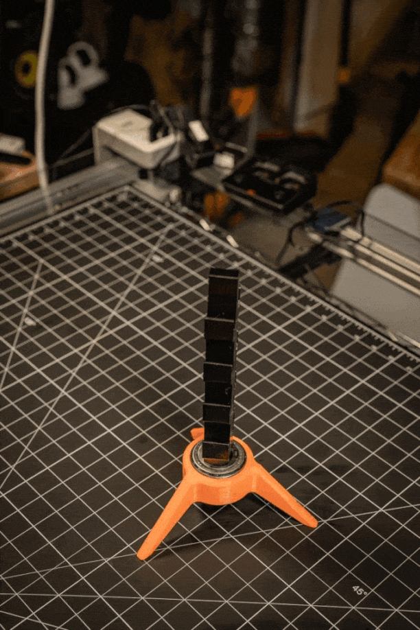 Susan Đứng Tự Do