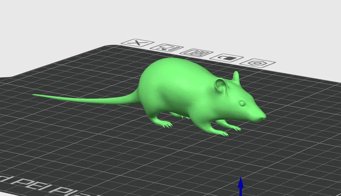 Chuột đường phố "Street rat" - Image 1