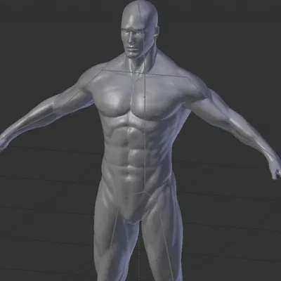 Mô Hình Gốc Nam Giới Có Khung Xương