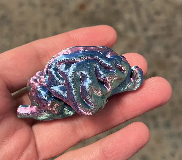 Hũ Tiền Hình Bộ Não Mèo Độc Đáo - Image 2