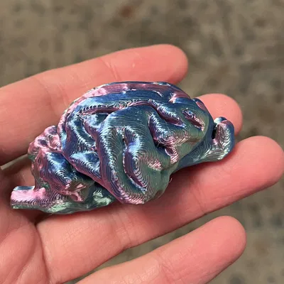 Hũ Tiền Hình Bộ Não Mèo Độc Đáo