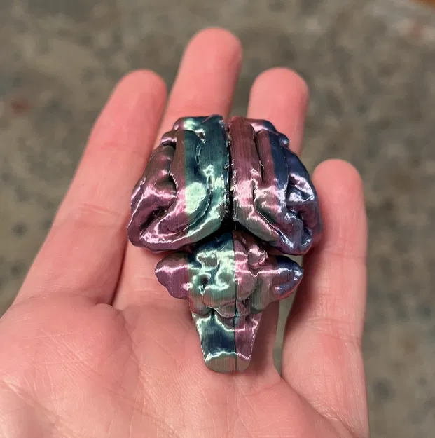 Hũ Tiền Hình Bộ Não Mèo Độc Đáo - Image 3