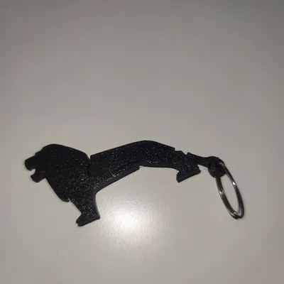 Móc Khóa MAN Truck