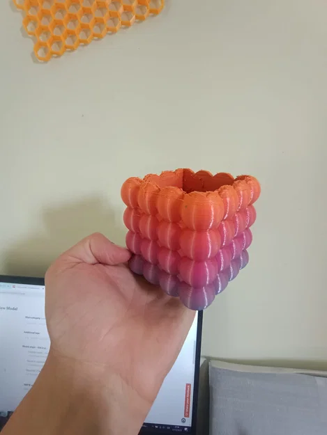 Chậu Cây Bong Bóng - Image 1