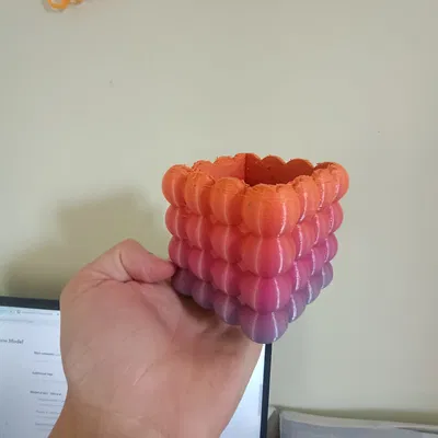 Chậu Cây Bong Bóng