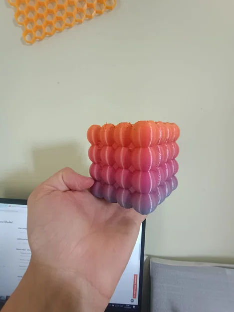 Chậu Cây Bong Bóng - Image 2