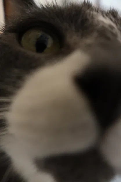 Lọ Xoắn Twister Vase - Image 4