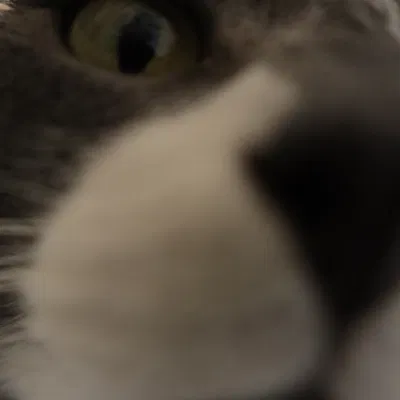 Lọ Xoắn Twister Vase