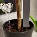 Bình nước tưới cây cảnh trong nhà - Thumbnail 1