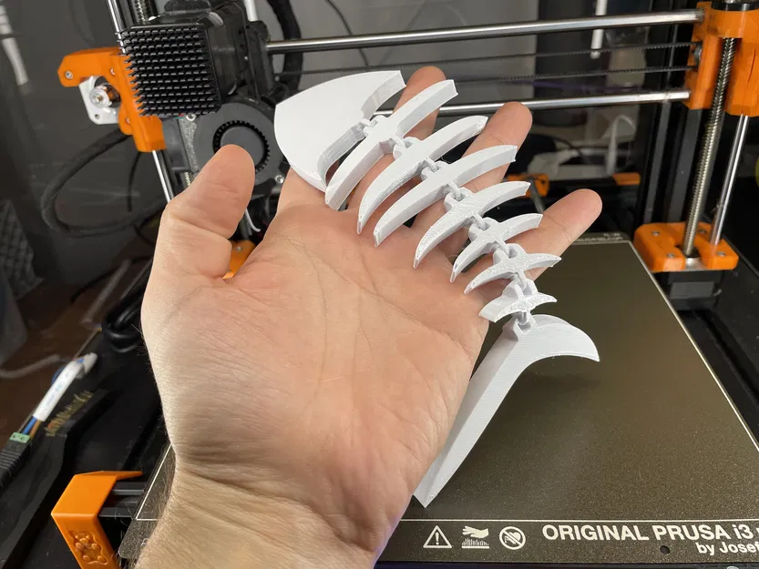 Xương Cá Khớp Nối - Image 3