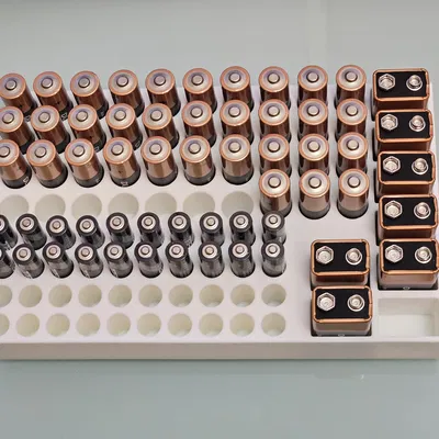 Khay Đựng Pin Cỡ Lớn "Kiểu Costco" Cho Pin AA/AAA/9V