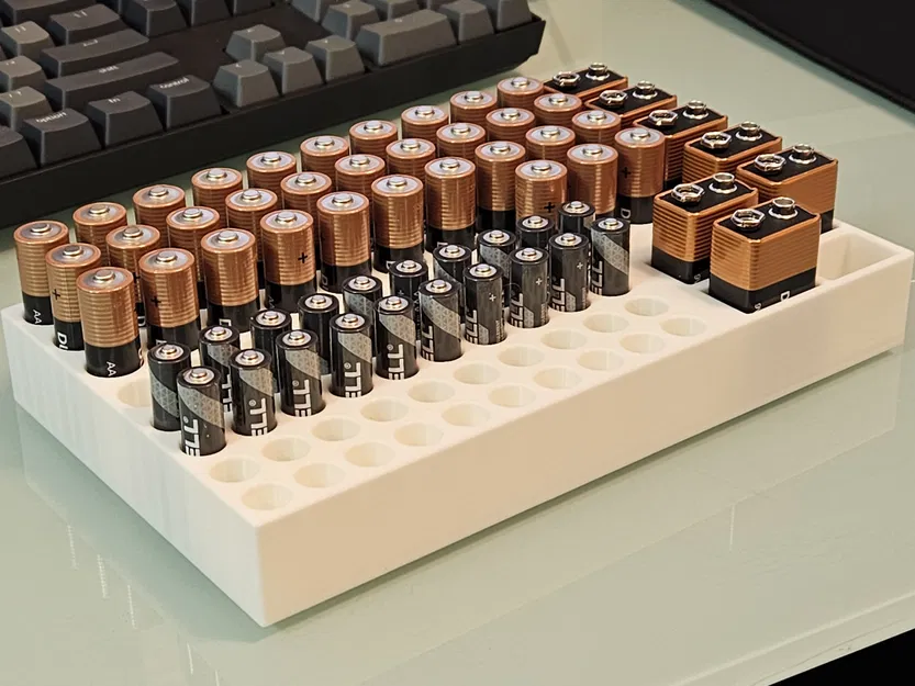 Khay Đựng Pin Cỡ Lớn "Kiểu Costco" Cho Pin AA/AAA/9V - Image 2