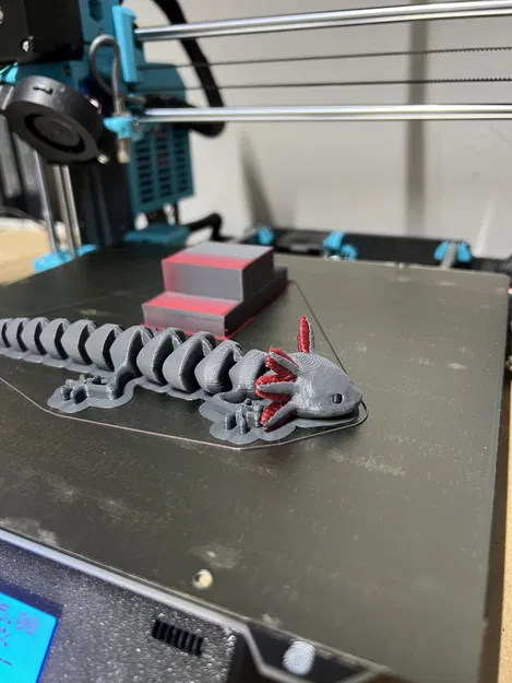 Kỳ Nhông Đảo Ngược - Bản Phối Màu Đa Sắc - Image 3