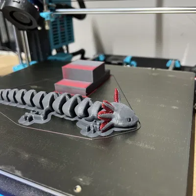 Kỳ Nhông Đảo Ngược - Bản Phối Màu Đa Sắc