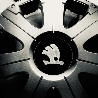Logo mâm xe Skoda ⌀9cm