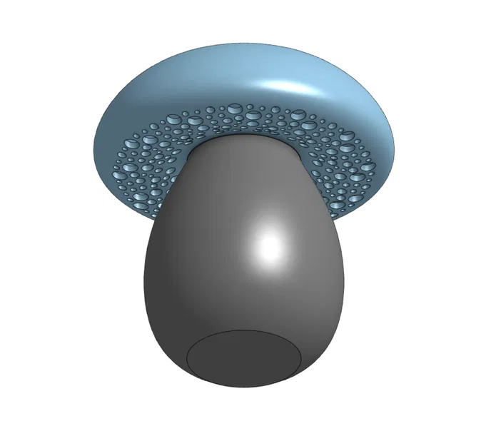 Nấm Thông Rỗng Có Ren - Image 1