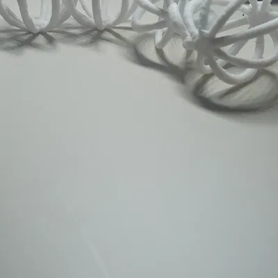 Trái châu Giáng Sinh