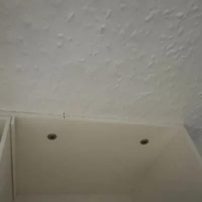 Chân đế treo tường cho chó