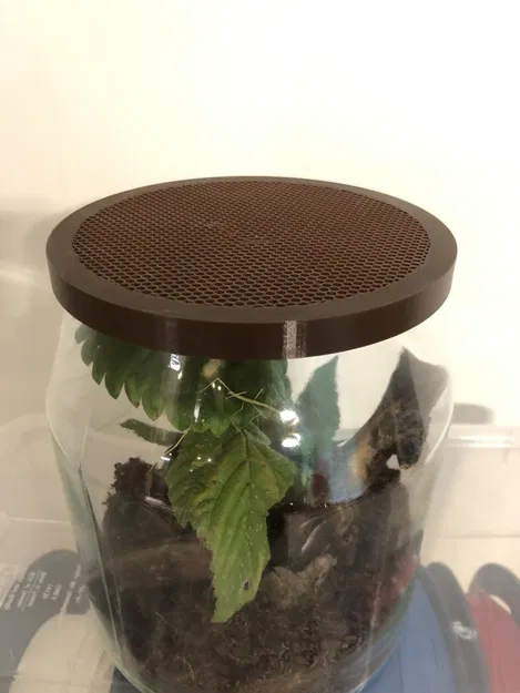 Nắp Hộp IKEA 365 - Tiểu Cảnh - Image 1