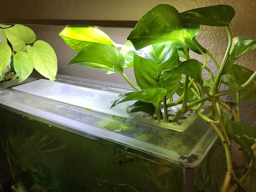 Nắp hồ Fluval Spec V - Image 1