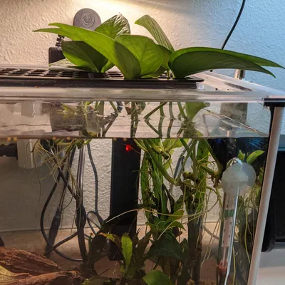 Nắp Che Khe Bể Cá Fluval Spec 5 Gallon