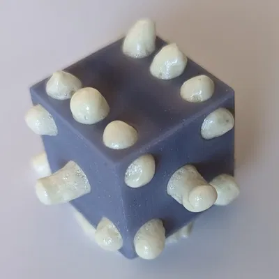 Xúc Xắc D6 Rỗng