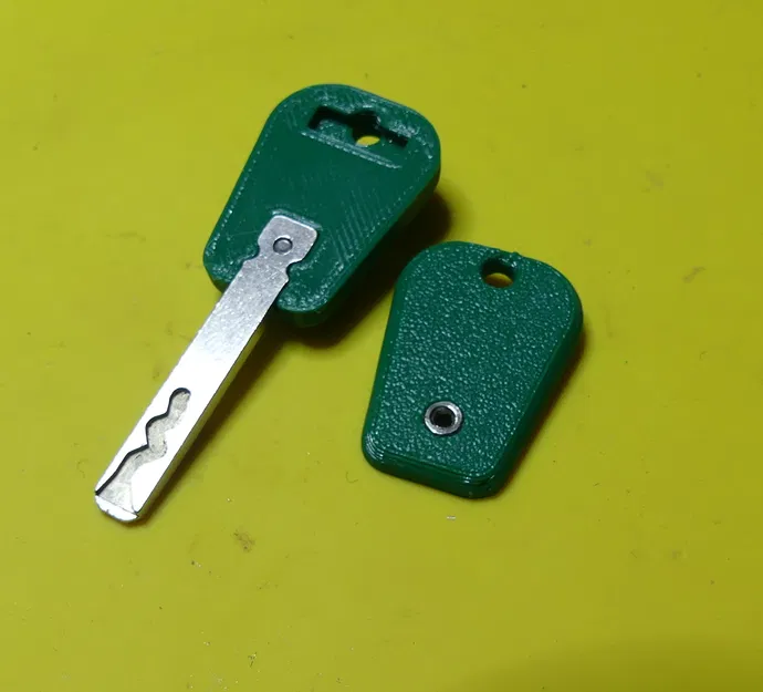 Tay cầm chìa khóa cho xe Citroen Picasso C3 - Image 2