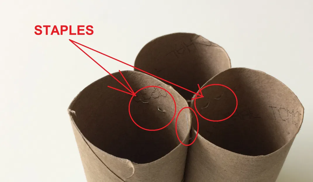 Ống Giấy Vệ Sinh Đựng Bút Chì và Bút - Image 2