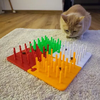 Đồ Chơi Cho Mèo - Bảng Vui Chơi