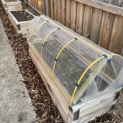 Nắp Che Luống Rau Siêu Đơn Giản