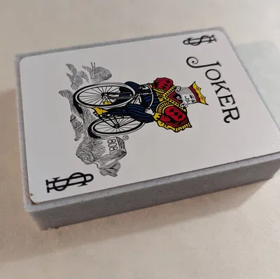 Hộp đựng bài Bicycle