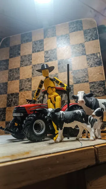 Nón Cowboy Cho DUMMY 13 - Image 2