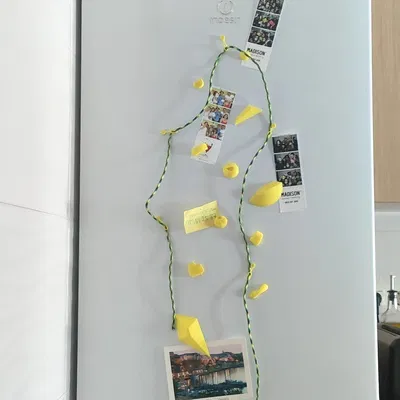 Nam Châm Tủ Lạnh Leo Tường