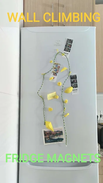 Nam Châm Tủ Lạnh Leo Tường - Image 3