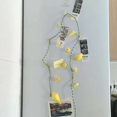 Nam Châm Tủ Lạnh Leo Tường